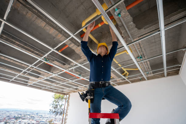 Professional Plumbing in Oreana, IL