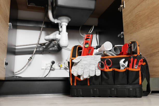 Best Same-Day Plumbing Service  in Oreana, IL